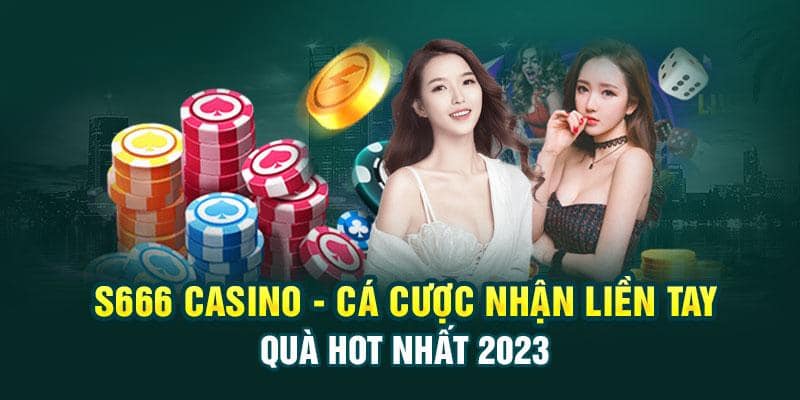 Đội ngũ hỗ trợ của S66 được đào tạo chuyên nghiệp và có tốc độ phản hồi nhanh chóng. 